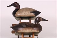 Pair of Hen & Drake Canvasback Duck Decoys by Ed