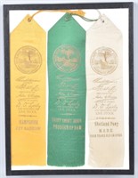 3- 1915 PAMAMA-PACIFIC EXPO SHOW RIBBONS