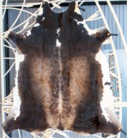 Large Chocolate & White Cow Hide Western Taxidermy