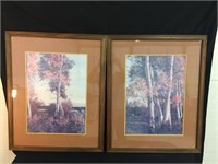 2 Prints of  White Birch or Aspen Trees.