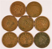 Low Grade/Cull Large Cent Group.
