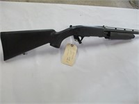 Browning BPS 12 GA shotgun