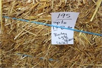 Straw-Lg. Squares-Barley-3x3's