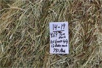 Hay-Grass-Lg. Squares-1st-12 Bales