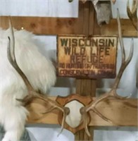 Red Stag antlers on plaque