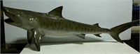 Replica fiberglass shark