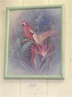 Vintage Parrot Print