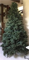 12' Lighted American Fir Christmas Tree