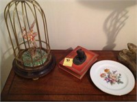 Small bird cage, plate, cat