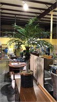 Decorative fern tree plant, 56 inches tall