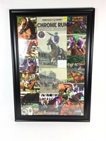 Large picture of California chrome