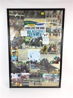 Large frame with collection of American pharaoh