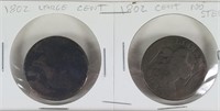 1802 & 1802 LARGE CENT COINS