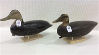 Lot of 2 Unknown Duck Decoys (364 & 365)