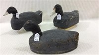 Lot of 3 Unknown Cork Body Coots