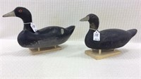 Lot of 2 Unknown Coots (309 & 316)