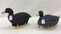 Lot of 2 Coots-One by Eugene Eichstaedt-