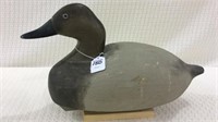 Canvasback Hen Partial Stamp on Bottom for
