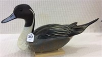 Pintail Swan Quarter by N. Williamson