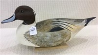 Pintail by Beardsley (116)