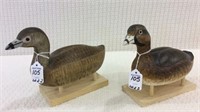 Lot of 2 Pied Billed Grebe-One by