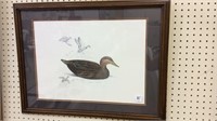 Framed, Signed & Numbered Duck Print w/ Remark