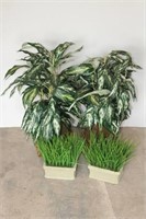 Selection of Faux Plants