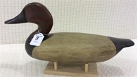 Perry Wilcoxen Canvasback
