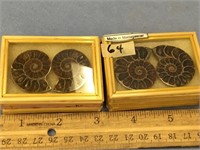 Lot of 4, halved, ammonite fossils       (a 7)