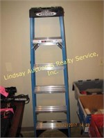 Werner 6' fibergalss ladder