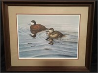 Wildlife Print- 2 Ruddy Ducks on Water