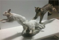 Mount of bobcat with two snowshoe hares