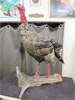 LARGE TAXIDERMY MALE TURKEY 34"T X 20"W