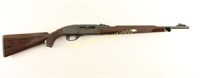 Remington Nylon 66 .22 LR NVSN