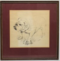Portrait of a Bulldog- Graphite on Paper