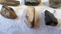 Several pices of  petrified wood