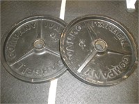 2-45 lb. IVANKO Barbell Plates