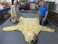 1961 polar bear 9ft rug with provenance letter