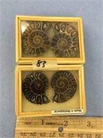 A lot with two pairs of small ammonite fossils