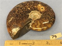 3.75" highly polished whole ammonite fossil