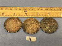 A lot of 3 silver dollars: Morgan 1896, Morgan 190