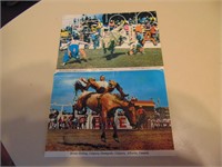 Alberta- 2 Postcards- Calgary Stampede