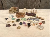 Assorted Fossils and Minerals