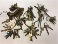 100 vintage metal keys