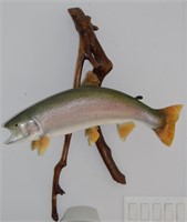 Real Skin Wall Mount Rainbow Trout 24"l