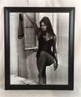 Framed Photograph of Sophia Loren