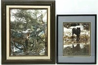 (2) Framed Wildlife Photographs