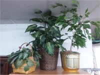 Lot of Three (3) Artificial Plants