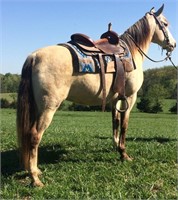 Cheyenne Maiden