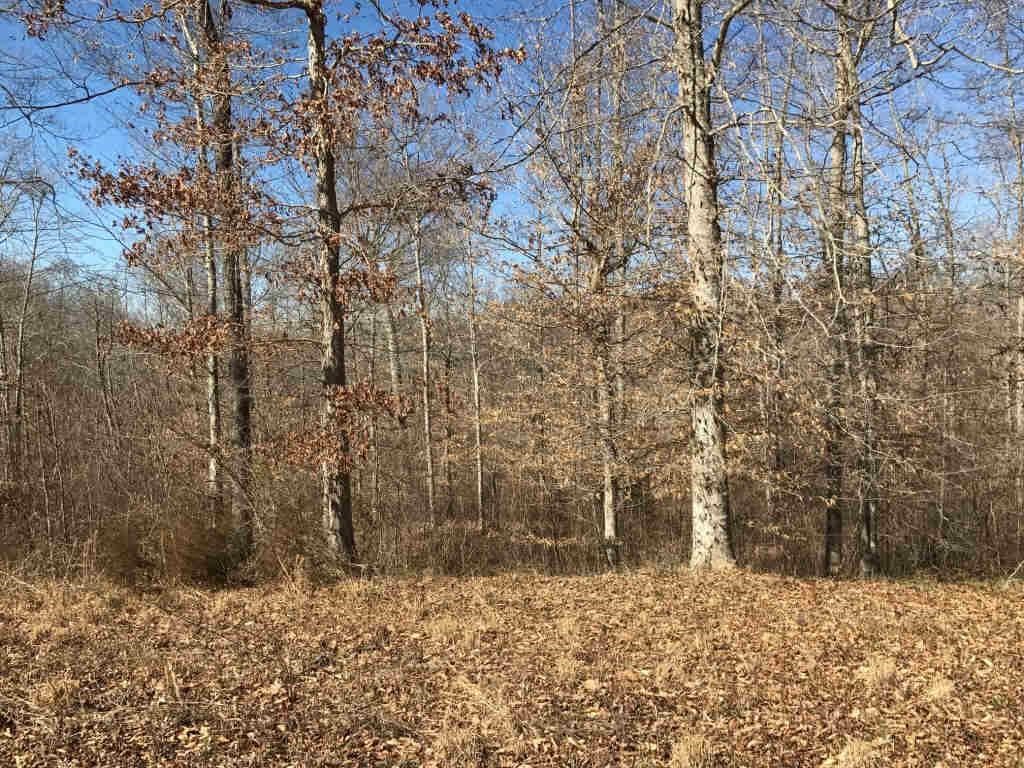 31.86 Acres in 1 Tract